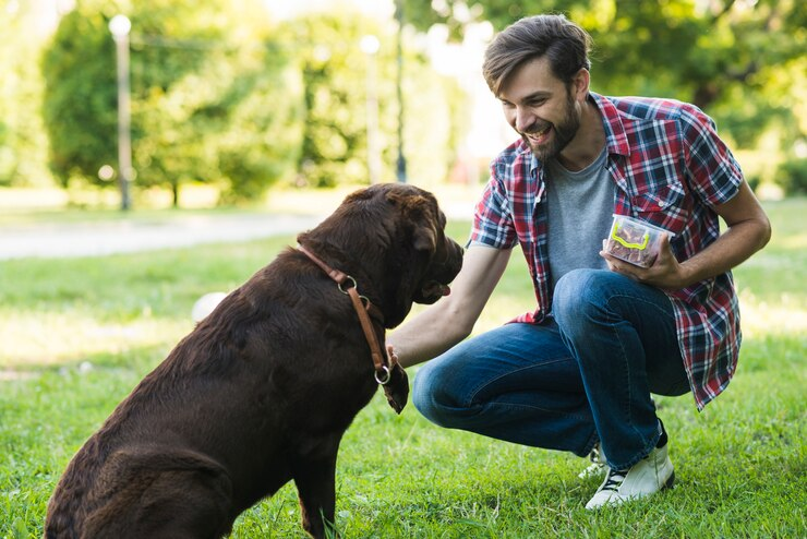 6-Benefits of Positive Reinforcement Training for Your Beloved Dog